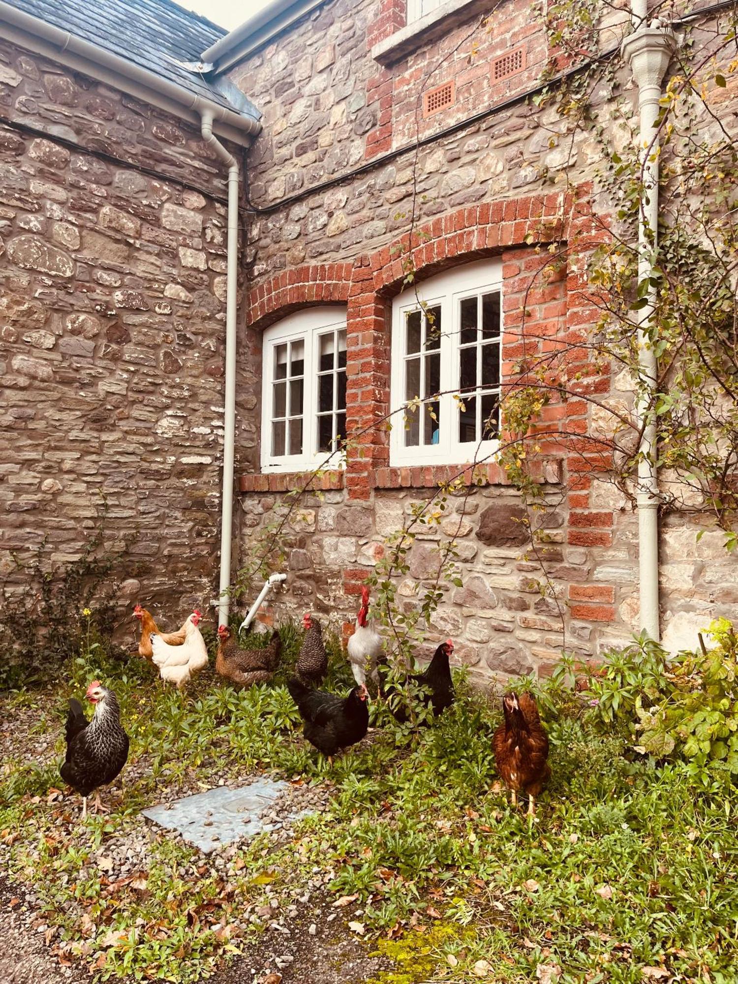 The Cottage Abergavenny Exterior photo